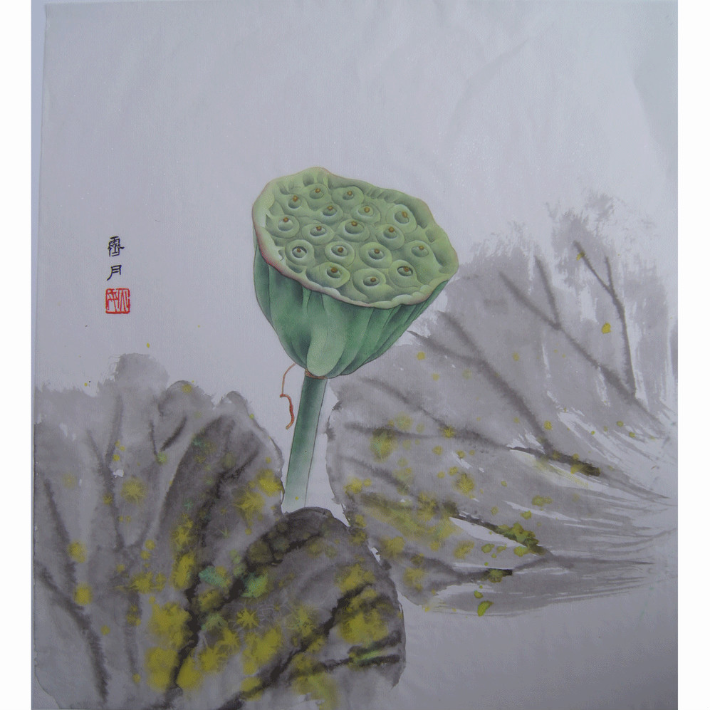 苦莲心