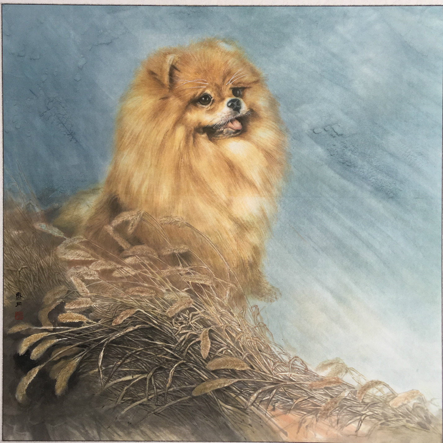 憨态可掬