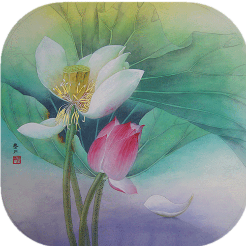 濯濯其华