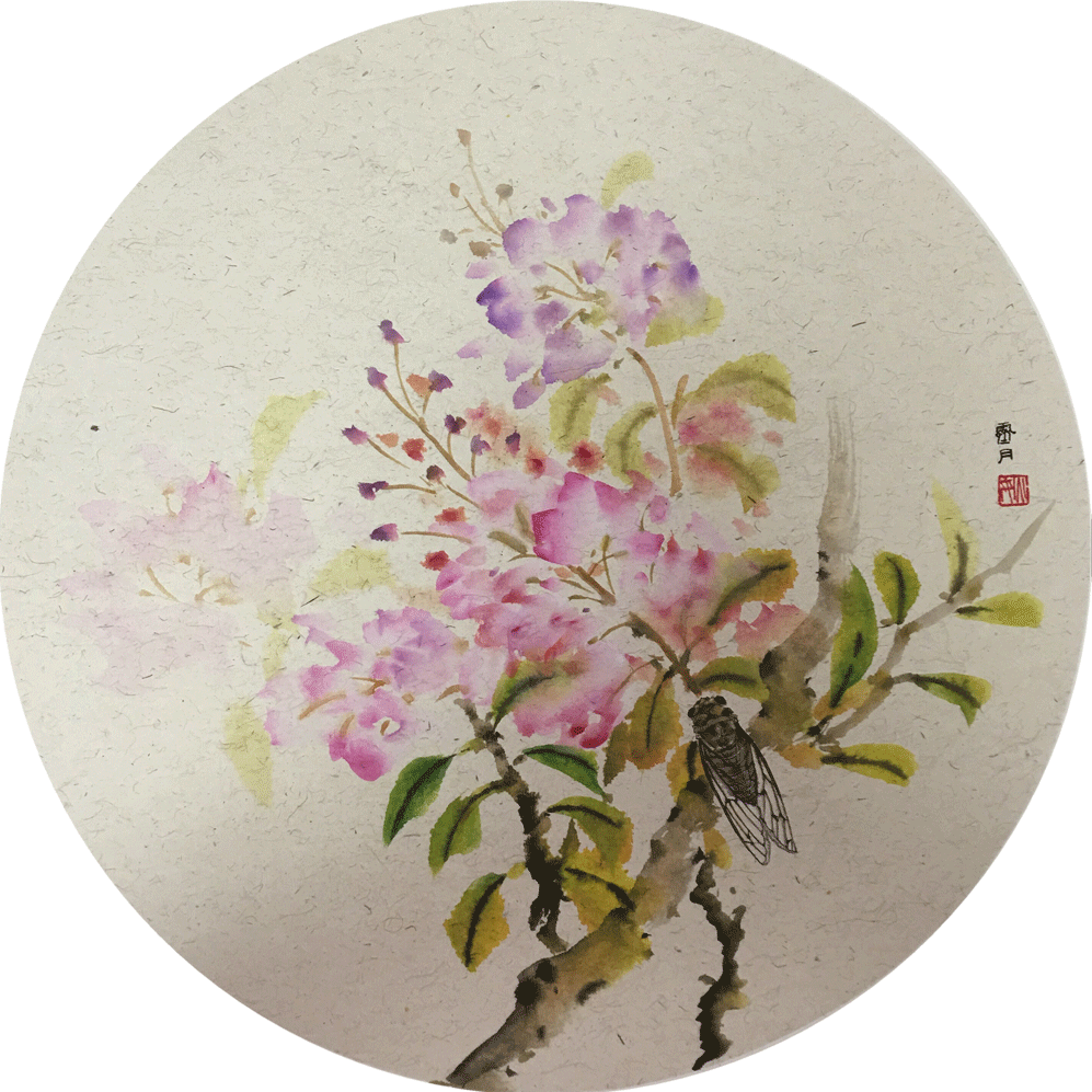 蝉与紫薇
