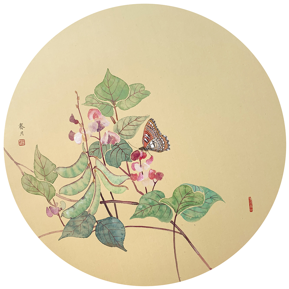 满架秋风扁豆花