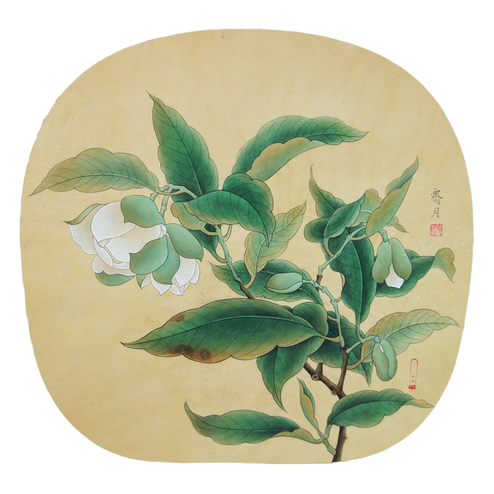 临摹宋画《夜合花图》